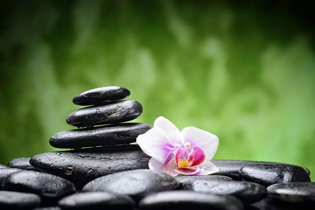 191929.jpg 191929.jpg